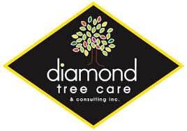 DIamond Tree Care